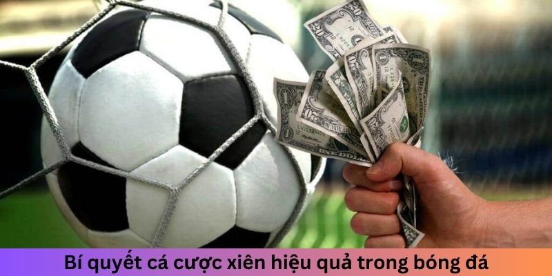 Bí quyết cá cược hiệu quả trong bóng đá